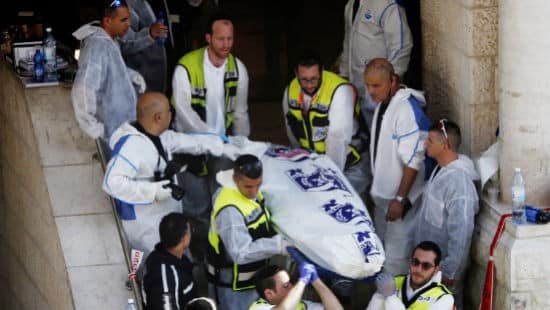 פלאש 90 צילום: פלאש 90 חדשות