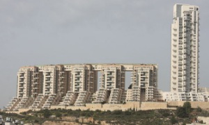 ויקיפדיה העברית צילום: ויקיפדיה העברית פרשיות השבוע