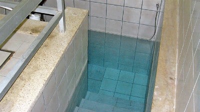 תמר הירדני צילום: תמר הירדני נשים