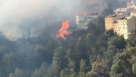 באדיבות המצלם צילום: באדיבות המצלם חינוך