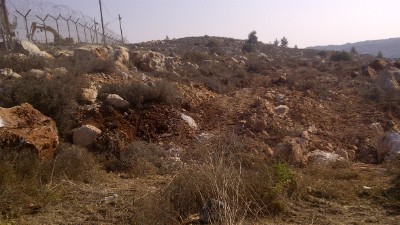 המועצה המקומית אפרת צילום: המועצה המקומית אפרת חדשות