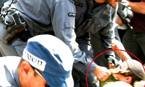 טוביה לרנר צילום: טוביה לרנר חדשות