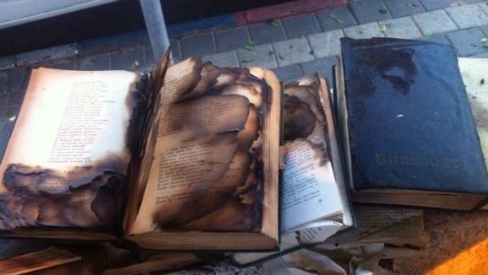 דוברות צהר צילום: דוברות צהר חדשות