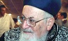 אלנתן גוטווירט צילום: אלנתן גוטווירט דעות