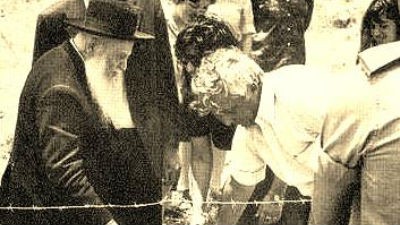  דעות