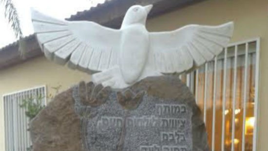 דוברות צילום: דוברות חדשות