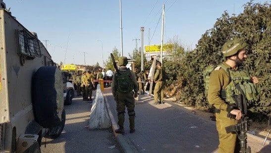TPS/תצפית צילום: TPS/תצפית הורים וילדים