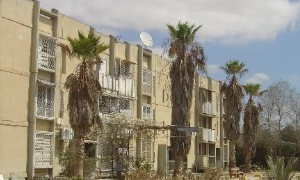 באדיבות המועצה המקומית ירוחם צילום: באדיבות המועצה המקומית ירוחם חדשות