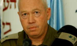 דובר צהל צילום: דובר צהל חדשות