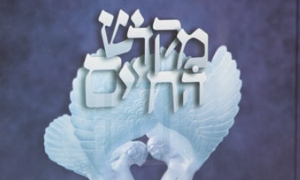 יחצ צילום: יחצ חינוך