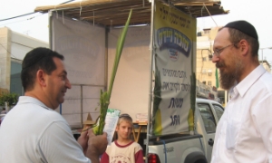 צעירי חבד צילום: צעירי חבד תרבות