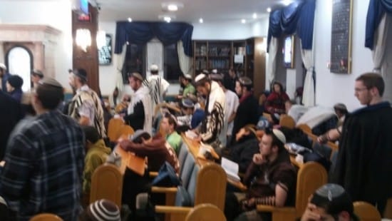 צילום: אילנה הופמן-דרור צילום: צילום: אילנה הופמן-דרור חדשות