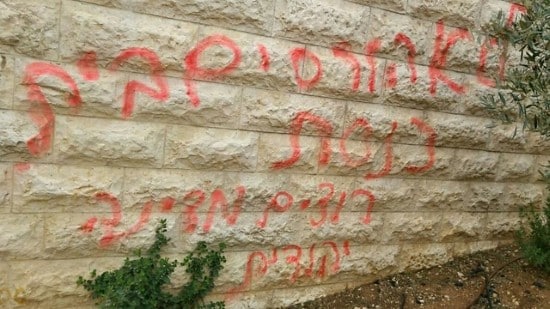 דוברות המשטרה צילום: דוברות המשטרה חדשות