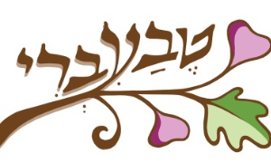 יחצ צילום: יחצ תרבות