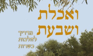 עטיפת הספר צילום: עטיפת הספר יהדות