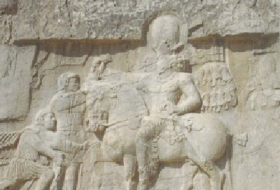 עטיפת הספר צילום: עטיפת הספר חדש על המדף