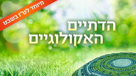  יהדות
