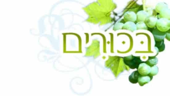  תרבות