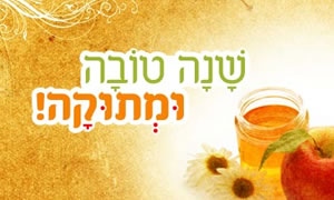  פרשיות השבוע