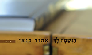 יחצ צילום: יחצ תרבות
