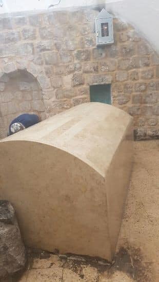 דוברות מועצת שומרון צילום: דוברות מועצת שומרון חדשות