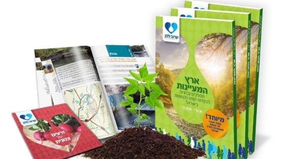יחצ צילום: יחצ לייף סטייל