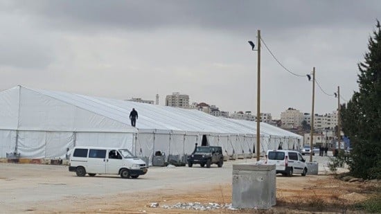 באדיבות המצלם צילום: באדיבות המצלם חדשות