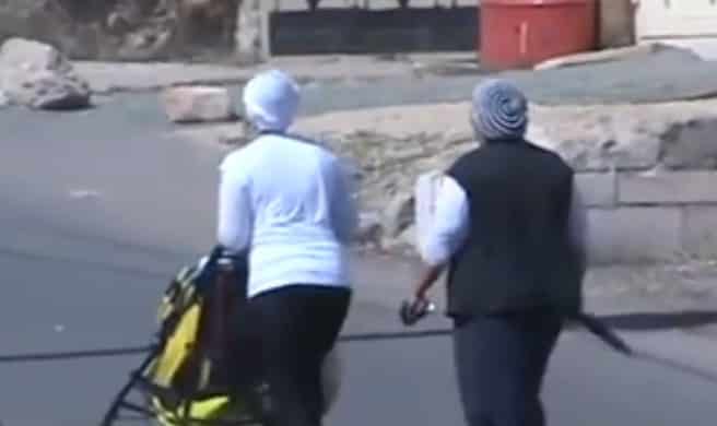צילום מסך צילום: צילום מסך חדשות