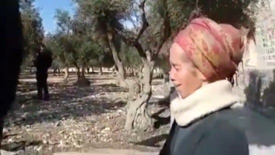 צילום מסך צילום: צילום מסך חדשות
