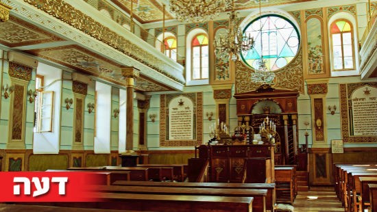 Roxana Bashyrova / Shutterstock.com צילום: Roxana Bashyrova / Shutterstock.com דעות
