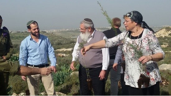  חדשות