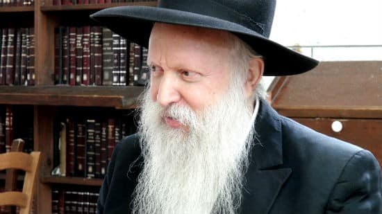 גל עיני צילום: גל עיני חדשות