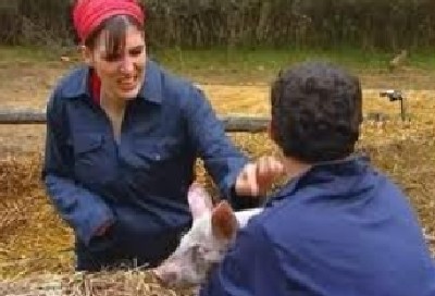 המרוץ למיליון צילום: המרוץ למיליון יחסים