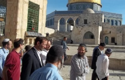 המטה למען המקדש צילום: המטה למען המקדש חדשות