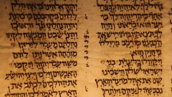 יחצ צילום: יחצ תרבות