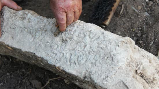 מיקי פלג, באדיבות רשות העתיקות צילום: מיקי פלג, באדיבות רשות העתיקות חדשות
