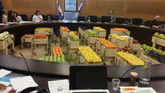 דוברות הכנסת צילום: דוברות הכנסת חדשות
