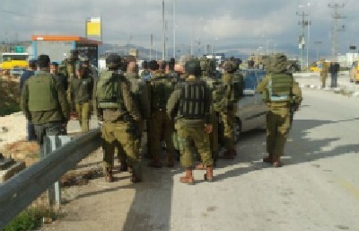 המועצה האזורית שומרון צילום: המועצה האזורית שומרון חדשות