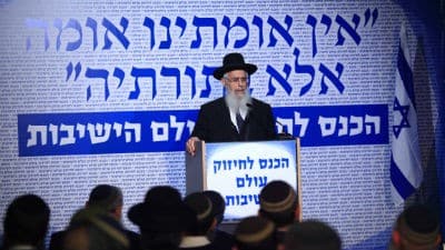 אלירן אביטל צילום: אלירן אביטל חדשות