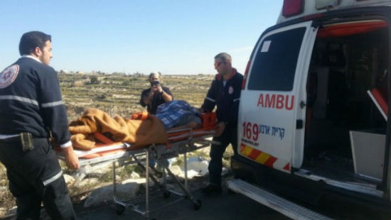 בשי דרשן - סוכנות תצפית צילום: בשי דרשן - סוכנות תצפית חדשות