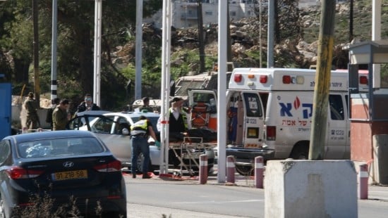 Ehud Amiton/TPS צילום: Ehud Amiton/TPS חדשות