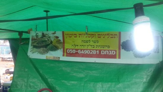 דוברות הרבנות הראשית צילום: דוברות הרבנות הראשית חדשות
