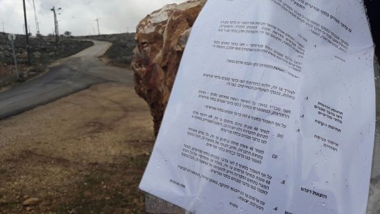 צבי סוכות צילום: צבי סוכות חדשות