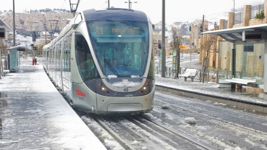 gali estrange / Shutterstock.com צילום: gali estrange / Shutterstock.com חדשות