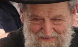 Refaella, ויקיפדיה העברית צילום: Refaella, ויקיפדיה העברית חדשות
