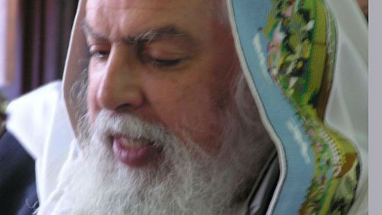 GFDL, elhanzon צילום: GFDL, elhanzon חדשות