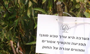יחצ צילום: יחצ חדשות