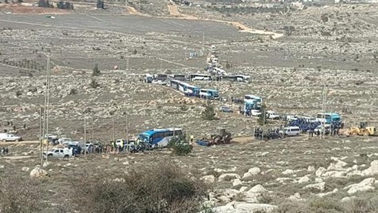 דוידי בן ציון צילום: דוידי בן ציון חדשות
