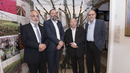 סטודיו צילומים צילום: סטודיו צילומים חדשות