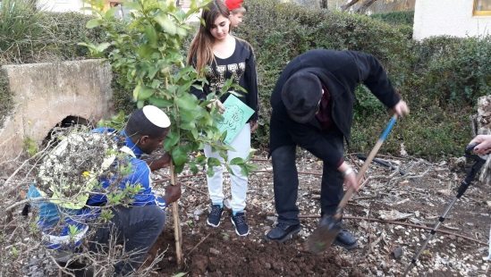 יחצ צילום: יחצ חדשות
